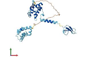 Protein Structure (PS) image for Transcription Elongation Factor A Protein 1 (TCEA1) (AA 1-301) protein (His tag) (ABIN7562830)