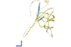 Protein Structure (PS) image for Collagen, Type XXV, alpha 1 (COL25A1) (AA 1-666) protein (His tag) (ABIN7560413)