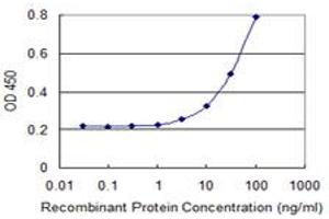 Detection limit for recombinant GST tagged C13orf31 is 1 ng/ml as a capture antibody. (LACC1 抗体  (AA 1-430))
