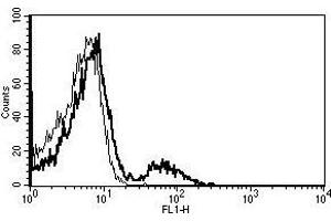 A typical staining pattern with the B-E5 monoclonal antibody of lymphocytes (CD21 抗体)