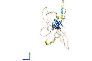 Protein Structure (PS) image for Pleckstrin Homology-Like Domain, Family A, Member 1 (PHLDA1) (AA 1-401) protein (His tag) (ABIN7550754)