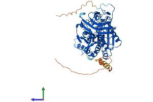 AlphaFold protein structure predicition of Human Recombinant AGBL4 Protein, UniprotID Q5VU57