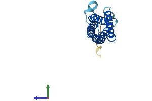 Protein Structure (PS) image for Mal, T-Cell Differentiation Protein-Like (Mall) (AA 1-153) protein (His tag) (ABIN7549317)