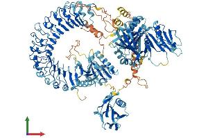 Protein Structure (PS) image for Flightless I Homolog (FLII) (AA 1-1269) protein (His tag) (ABIN7553932)