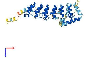 AlphaFold protein structure predicition of Human Recombinant ASB12 Protein, UniprotID Q8WXK4