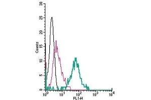 Flow Cytometry (FACS) image for anti-Transient Receptor Potential Cation Channel, Subfamily V, Member 4 (TRPV4) (AA 647-662), (Extracellular) antibody (FITC) (ABIN7043854)