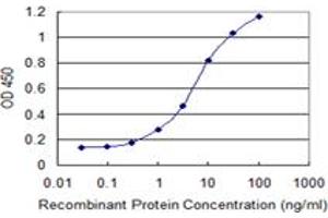 Detection limit for recombinant GST tagged FARS2 is 0. (FARS2 抗体  (AA 351-451))