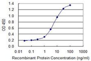 Detection limit for recombinant GST tagged FASN is 0. (Fatty Acid Synthase 抗体  (AA 1-439))