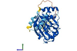 Protein Structure (PS) image for Glycine-N-Acyltransferase-Like 2 (GLYATL2) (AA 1-294) protein (His tag) (ABIN7547982)