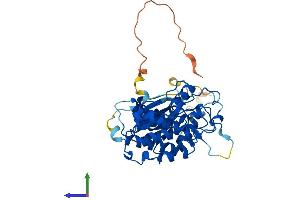 AlphaFold protein structure predicition of Mouse Recombinant Cdk9 Protein, UniprotID Q99J95