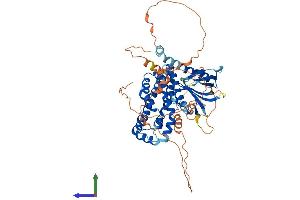 Protein Structure (PS) image for Rho Guanine Nucleotide Exchange Factor 25 (ARHGEF25) (AA 1-580) protein (His tag) (ABIN7552383)