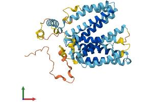 Protein Structure (PS) image for Solute Carrier Family 22 (Organic Cation Transporter), Member 17 (SLC22A17) (AA 1-401) protein (His tag) (ABIN7561166)
