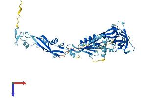 NMD3 Protein (AA 1-503) (His tag)