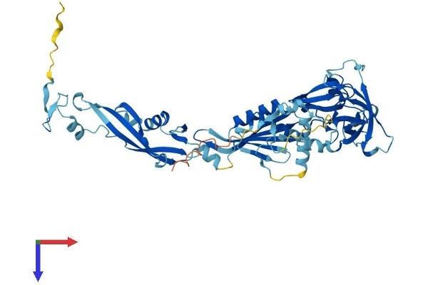 NMD3 Protein (AA 1-503) (His tag)