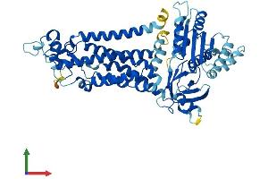 Protein Structure (PS) image for NADPH Oxidase 1 (NOX1) (AA 1-564) protein (His tag) (ABIN7554747)