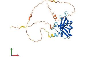AlphaFold protein structure predicition of Human Recombinant RIMS4 Protein, UniprotID Q9H426