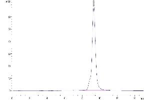 The purity of Human LAYN is greater than 95 % as determined by SEC-HPLC.