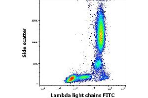 Flow cytometry surface staining pattern of human peripheral whole blood stained using anti-human Lambda Light Chain (1-155-2) FITC antibody (4 μL reagent / 100 μL of peripheral whole blood). (Lambda-IgLC 抗体  (FITC))