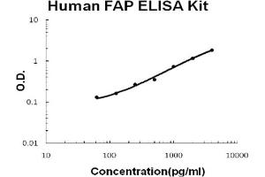 Human Seprase/FAP Accusignal ELISA Kit Human Seprase/FAP AccuSignal ELISA Kit standard curve. (Prolyl Endopeptidase FAP ELISA 试剂盒)