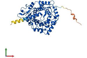 AlphaFold protein structure predicition of Human Recombinant PGGT1B Protein, UniprotID P53609