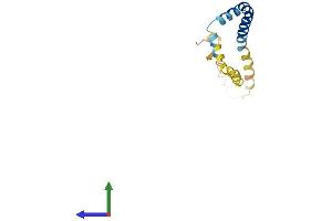AlphaFold protein structure predicition of Human Recombinant TMEM78 Protein, UniprotID Q5T7P6 (TMEM78 Protein (AA 1-136) (His tag))
