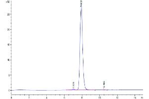 The purity of Mouse EGFR is greater than 95 % as determined by SEC-HPLC.