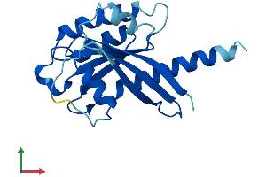 Protein Structure (PS) image for Intraflagellar Transport 27 Homolog (IFT27) (AA 1-186) protein (His tag) (ABIN7560849)