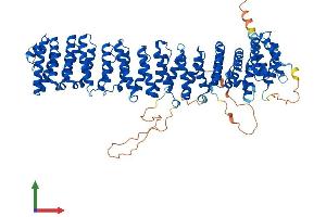 Protein Structure (PS) image for Vac14 Homolog (VAC14) (AA 1-782) protein (His tag) (ABIN7555970)