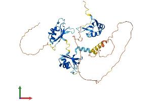 Protein Structure (PS) image for CUGBP, Elav-Like Family Member 6 (CELF6) (AA 1-460) protein (His tag) (ABIN7558219)
