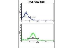 Flow cytometric analysis of NCI- cells using RARS2 Antibody (C-term)(bottom histogram) compared to a negative control cell (top histogram).