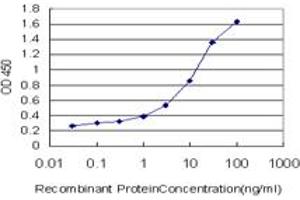 Detection limit for recombinant GST tagged FOXF2 is approximately 0. (FOXF2 抗体  (AA 346-443))