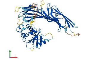 Protein Structure (PS) image for Adaptor-Related Protein Complex 4, mu 1 Subunit (Ap4m1) (AA 1-453) protein (His tag) (ABIN7552294)