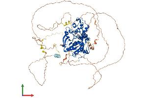 AlphaFold protein structure predicition of Mouse Recombinant Exo1 Protein, UniprotID Q9QZ11