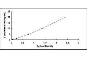 Typical standard curve (S100A2 ELISA 试剂盒)