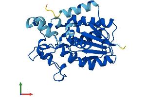 AlphaFold protein structure predicition of Human Recombinant PGAM2 Protein, UniprotID P15259