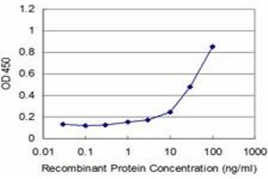 Detection limit for recombinant GST tagged NAB2 is approximately 1ng/ml as a capture antibody. (NAB2 抗体  (AA 421-525))