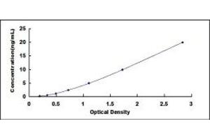 Typical standard curve (PDK4 ELISA 试剂盒)