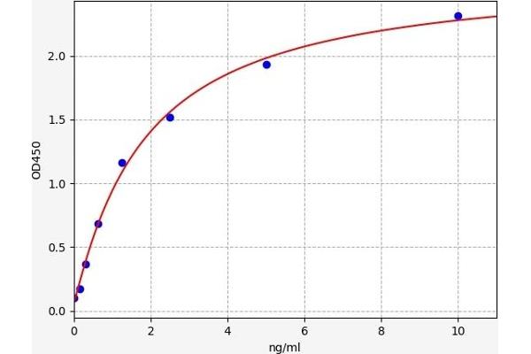 ZMAT3 ELISA 试剂盒