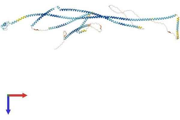 RNF40 Protein (AA 1-1001) (His tag)