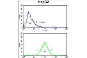 Flow cytometry analysis of HepG2 cells (bottom histogram) compared to a negative control cell (top histogram). (SPCS3 抗体  (C-Term))