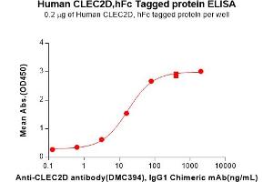 ELISA image for C-Type Lectin Domain Family 2, Member D (CLEC2D) protein (Fc Tag) (ABIN6964152)