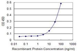 Detection limit for recombinant GST tagged IRF5 is 1 ng/ml as a capture antibody. (IRF5 抗体  (AA 1-498))