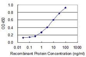 Detection limit for recombinant GST tagged U2AF1 is 0. (U2AF1 抗体  (AA 56-155))