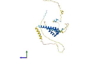 Protein Structure (PS) image for Ladybird Homeobox 1 (Lbx1) (AA 1-281) protein (His tag) (ABIN7548887)