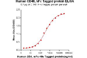 CD48 (CD48) (AA 27-220) protein (Fc Tag)
