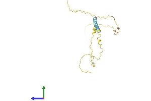 AlphaFold protein structure predicition of Human Recombinant TCEAL5 Protein, UniprotID Q5H9L2