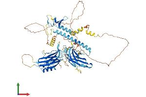 AlphaFold protein structure predicition of Human Recombinant SYTL4 Protein, UniprotID Q96C24 (SYTL4 Protein (AA 1-671) (His tag))