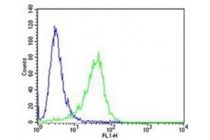 Flow cytometric analysis of A549 cells using ROR1 antibody (green) compared to an isotype control of rabbit IgG (blue).