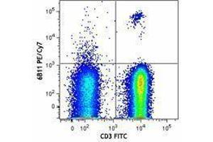 Flow Cytometry (FACS) image for anti-TCR V Alpha24-J Alpha18 antibody (PE-Cy7) (ABIN2659400) (TCR V Alpha24-J Alpha18 抗体 (PE-Cy7))