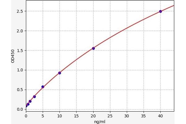 SLC1A3 ELISA 试剂盒